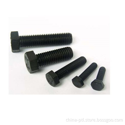 Steel Screw (PTL-FFS005)